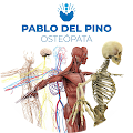 Pablo Del Pino Ruiz